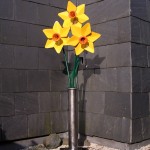 steel daffodils